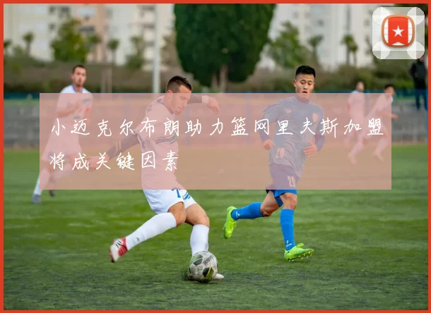小迈克尔布朗助力篮网里夫斯加盟将成关键因素