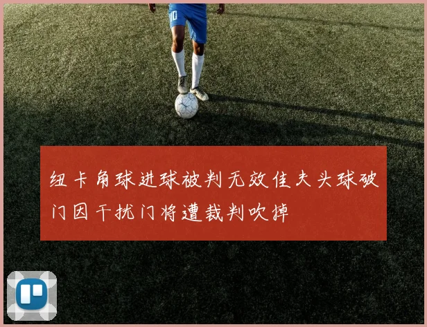 纽卡角球进球被判无效佳夫头球破门因干扰门将遭裁判吹掉